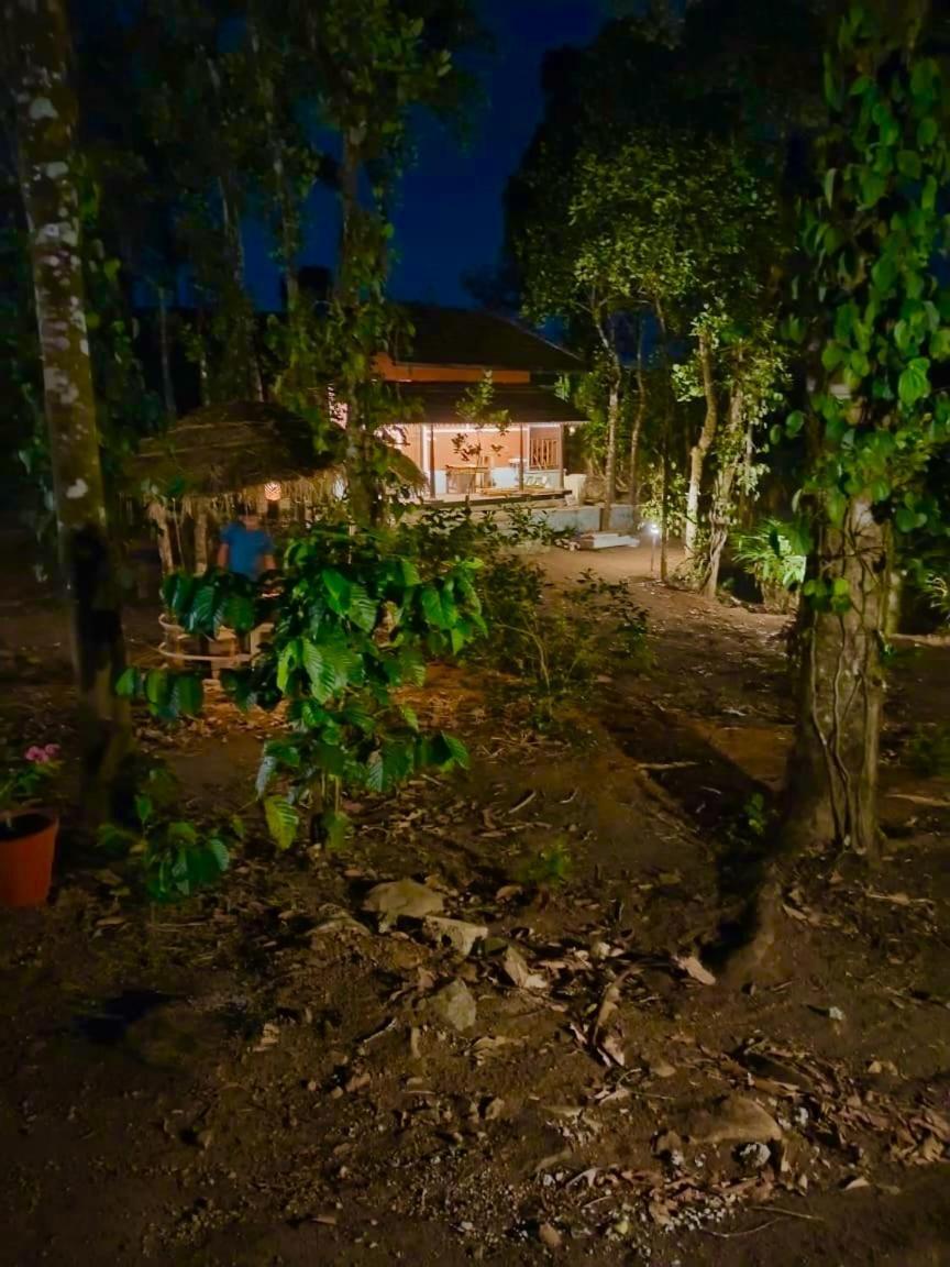 Tharayil Farm Stay Vagamon Exterior foto
